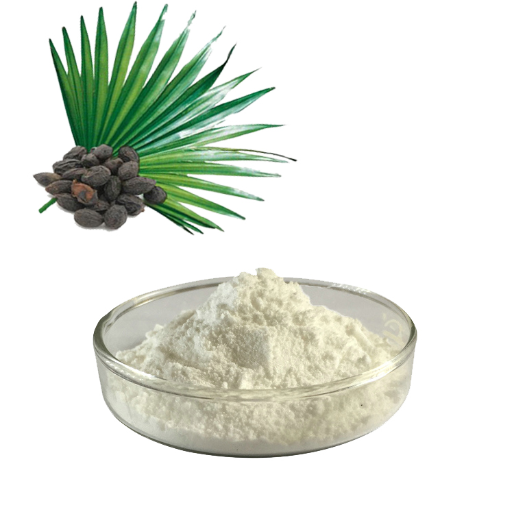 Co je výtažek Saw Palmetto? A co je výhodou extraktu Saw Palmetto?